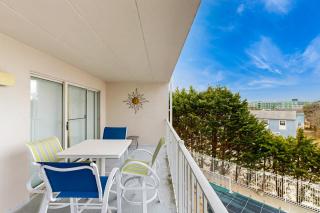 Triton's Trumpet C 303 - Ocean City - 1