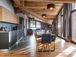 Duplex spacieux 14 personnes avec spa, parking, et wifi gratuit - FR-1-275-210 - La Rosière - 0