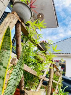 Shambani House - Arusha - 8