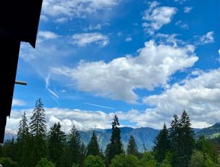 Studio Top im des Alpes - Flims - 2