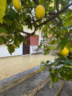 Appartamento Limoncello - Malcesine - 8