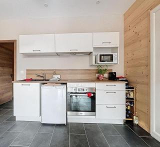 Appartement à La Bresse - cadre naturel et calme - La Bresse - 4