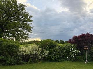 SONNENWEG Designwohnung mit Gartenblick - Plauen - 9