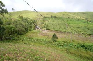 Helios Farms and Resorts - Vagamon - 6