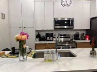 Full Luxury home 4 BD ,AC,sleep 14,BBQ, 2V Garage - 3