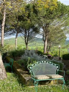 Villa La Dogana - Pool, Large Park, for Groups - San Secondo - 1