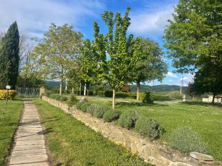 Villa La Dogana - Pool, Large Park, for Groups - San Secondo - 5