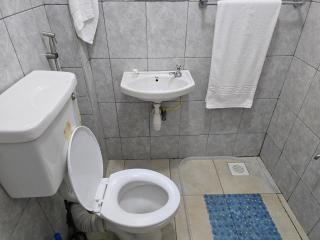 Deliza Haven Modern one bedroom apartment with top notch customer experience - Kiambu - 7