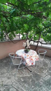 Studio Apartman Vodice Croatia - 6