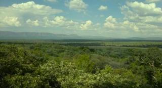 Bushtime at Mabula - Mabula - 2