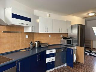 Spacious duplex apartment with fireplace by the Nisa River - Liberec - 7