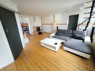 Spacious duplex apartment with fireplace by the Nisa River - Liberec - 5