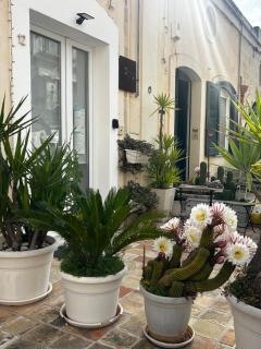 Recinto antico Sweet Rooms - Matera - 1