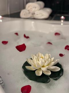 Romantic BathTube Cismigiu Park 2 Room Apartment - Bucareste - 4