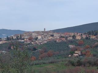 Casa in collina - Tenaglie - 5