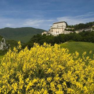 Casa in collina - Tenaglie - 7