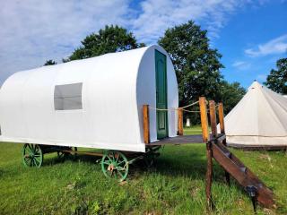 Carul cu Stele-Glamping - 8