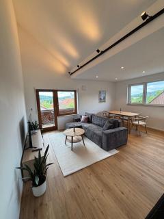 Moderne Wohnung in der Nähe des Bodensees - Apt Blockenloh - Überlingen - 4
