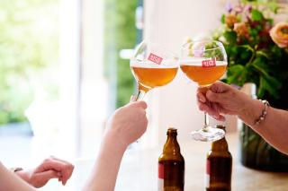 Vakantiewoning De Gulden Sleutels - Kruibeke - 1