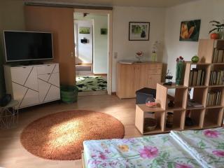 Kleine Sonnenblume - Ueckermünde - 3