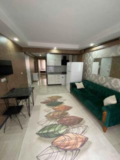 Alış koyleri - Samandağı - 6