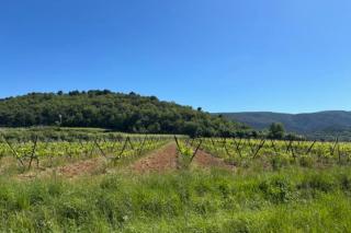 "La Lacoste Charm and View of the Luberon" - 2