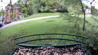 Twin Mountain View Homestead - Renovo - 1