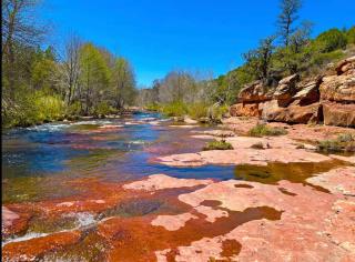 Luxe Design with Amazing Views - Creek Access - Sedona - 6