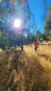 BottleRock Farm 80acre Resort with Alpacas, Lake, Hot Tub - Kelseyville - 7