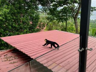 2 BD Villa with Sweeping Views of Manuel Antonio - Quepos - 8