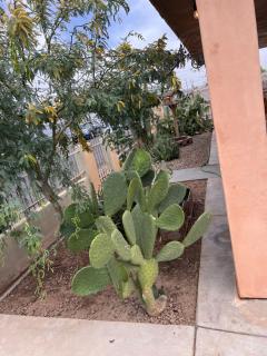 Downtown Secluded Room 2 - Phoenix - 3