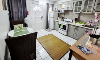 Silver View Apartments - Saint Georgeʼs - 1