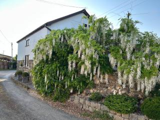Trelowen Cottage - Callington - 9