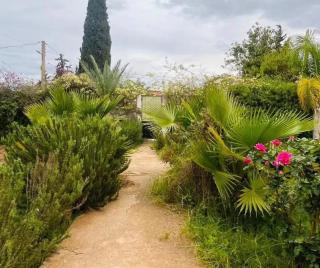Villa de campagne avec piscine sans vis à vis - Oulad Akkou - 7
