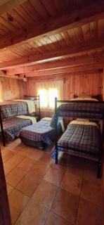 Hostel Parador El Camello - Ciudad Lujan de Cuyo - 8