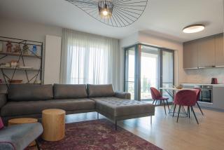 Shades of Grey 124 - Cloud9 Residence - Pipera - Floreasca - Barbu Vacarescu Area - Bucarest - 5