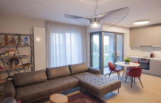Shades of Grey 124 - Cloud9 Residence - Pipera - Floreasca - Barbu Vacarescu Area - 3