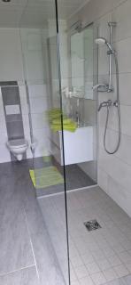 Ferienhaus Strasser - Ramsau am Dachstein - 1
