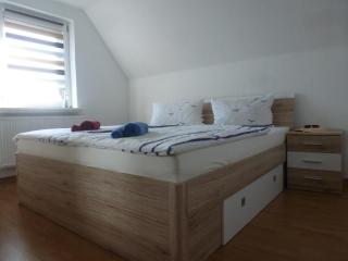Ferienwohnungen Seeschwalbe und Lachmöwe im Haus Findling - Dranske - 4