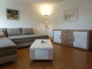 Ferienwohnungen Seeschwalbe und Lachmöwe im Haus Findling - Dranske - 7