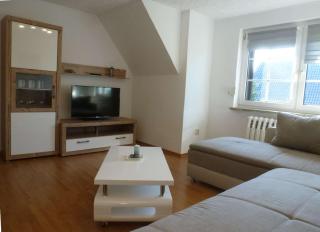 Ferienwohnungen Seeschwalbe und Lachmöwe im Haus Findling - Dranske - 6