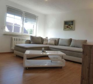 Ferienwohnungen Seeschwalbe und Lachmöwe im Haus Findling - Dranske - 5