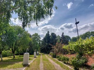 Camp Pipacs - Feketić - 8