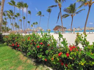 BEACH VILLAS & APARTMENTS Long Term Vacation Hotel BAVARO Beach CLUB & SPA - Punta Cana - 9