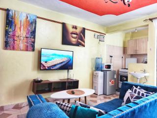 Bedsitter studio Thika Road - Nairobi - 0