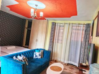 Bedsitter studio Thika Road - Nairobi - 6