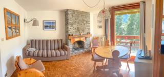 Edelweiss - Panorama e giardino - Courmayeur - 9