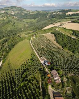 Agriturismo Serena -Petritoli- - Petritoli - 8