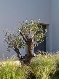 Pezoules House - 3