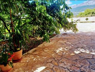 Floral Retreat - Split - 7